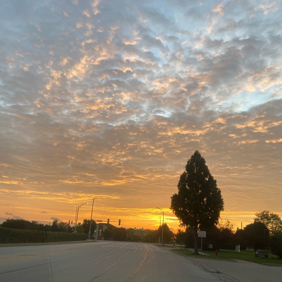 Meet your Poshers, Dorian & India - Picture 2 of 4